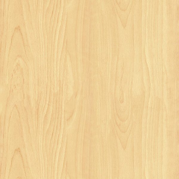 Intal Beech wood finish Decor paper