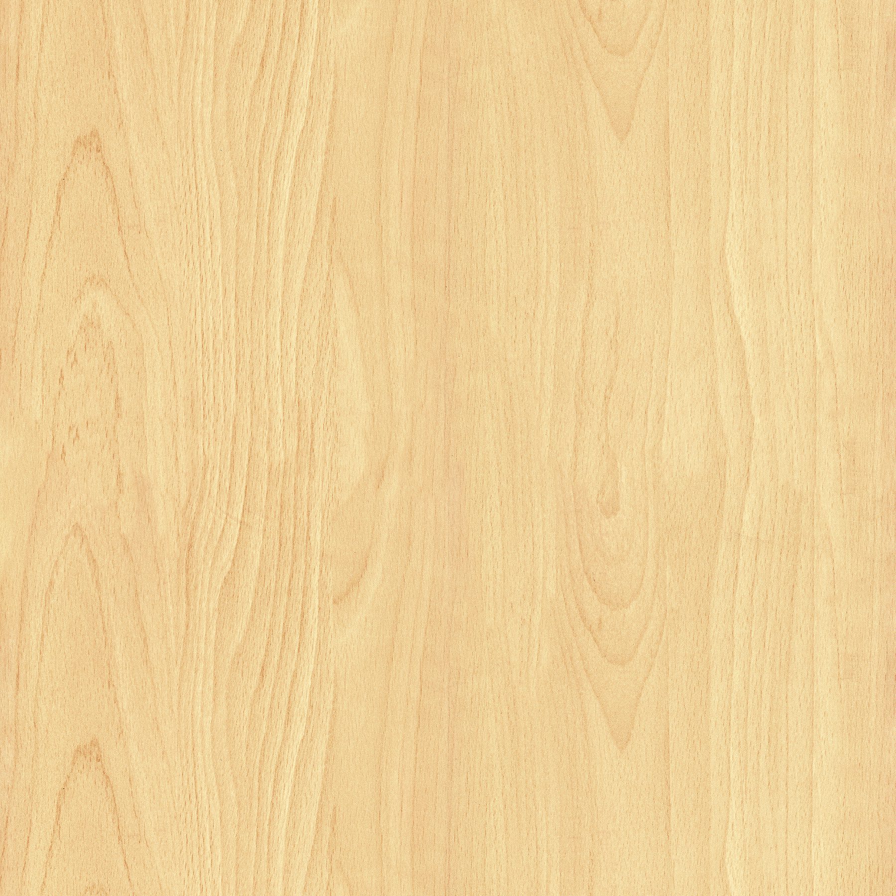 Intal Beech wood finish Decor paper