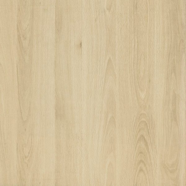 Mangfal Beech wood finish Decor paper
