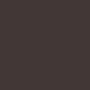 Hazel Nut TP-10